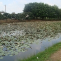 松山湖
