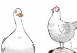 求购一辆二手电动车