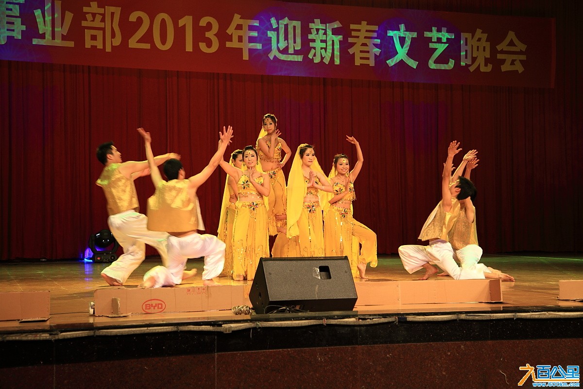 十五事业部2013晚会