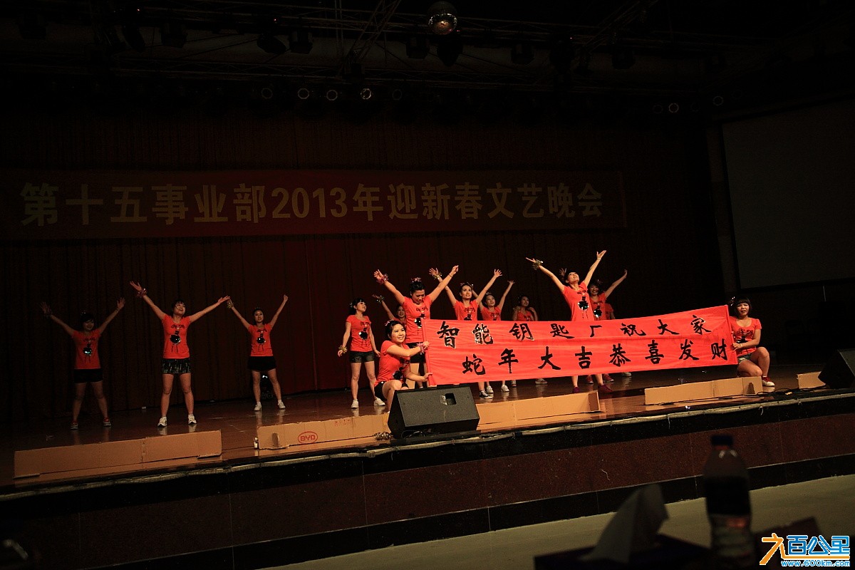 15部晚会