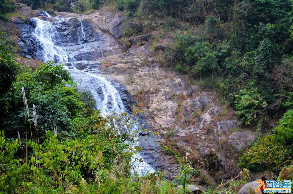 DSC_0496.jpg