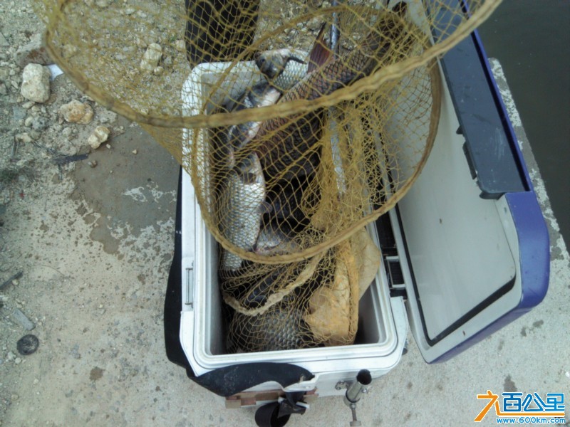Camera_20130214_142533.jpg