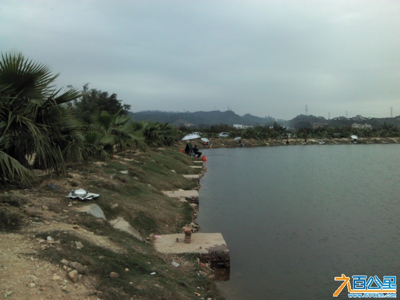Camera_20130214_142557.jpg