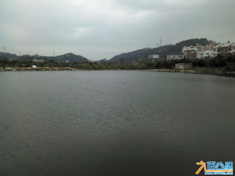 Camera_20130214_142601.jpg