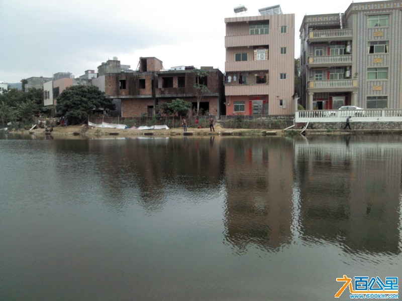 Camera_20130214_142605.jpg