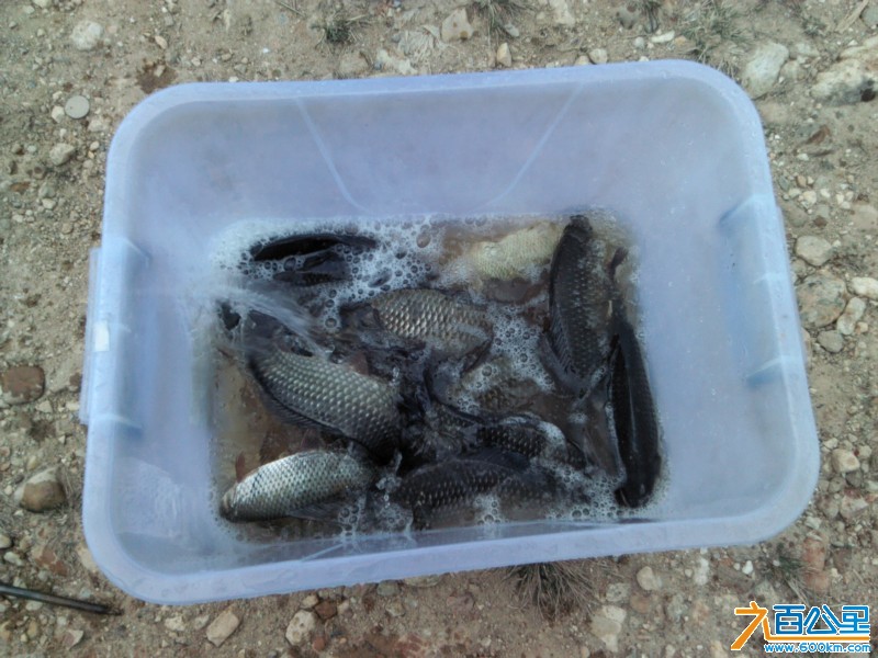 Camera_20130214_142710.jpg