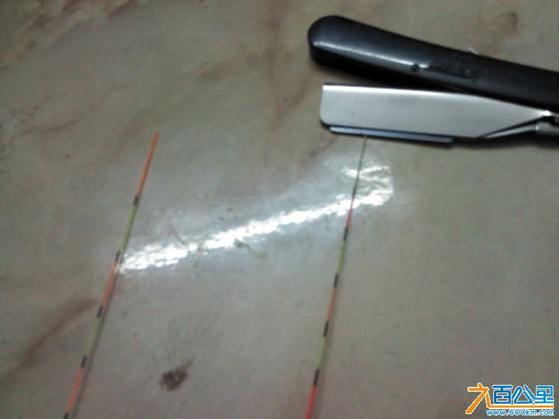 Camera_20130218_193659.jpg