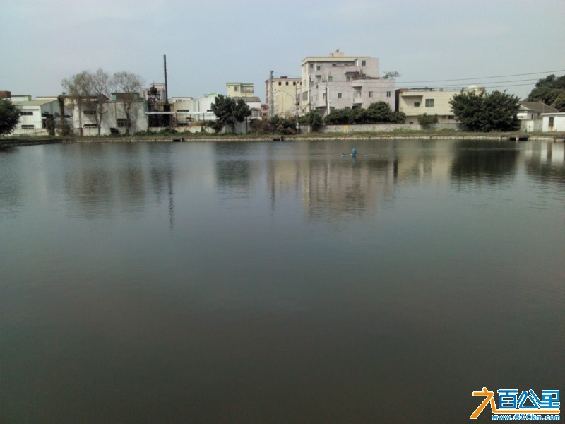 Camera_20130223_101941.jpg