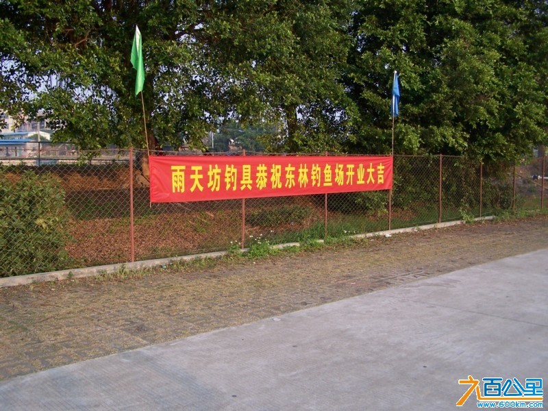 100_4574.JPG