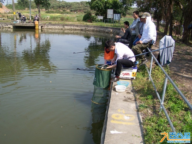 100_4583.JPG