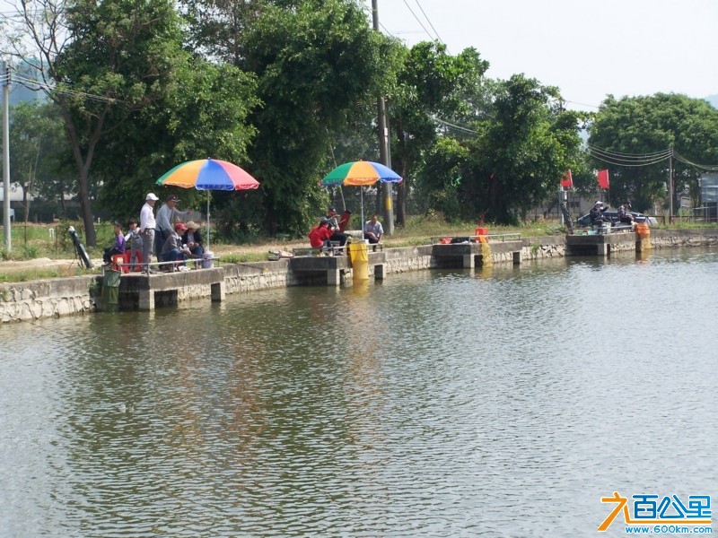 100_4591.JPG