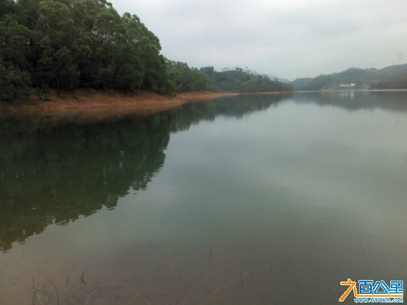 Camera_20130331_113604.jpg