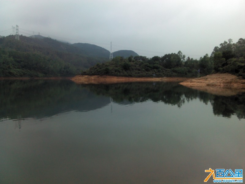 Camera_20130331_113607.jpg