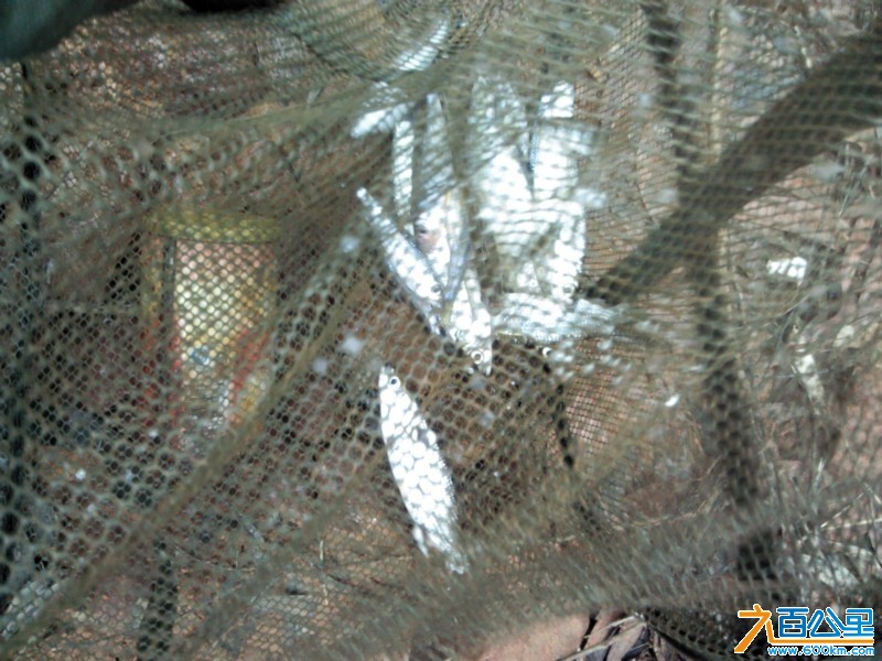 Camera_20130331_113636.jpg