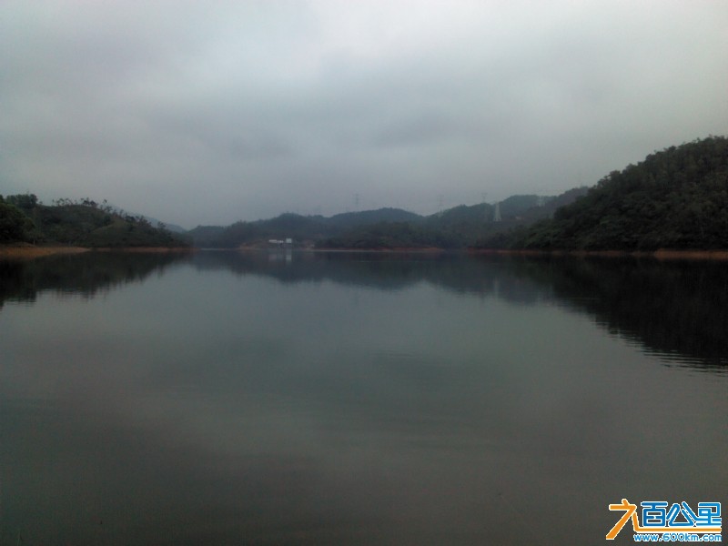 Camera_20130331_113656.jpg