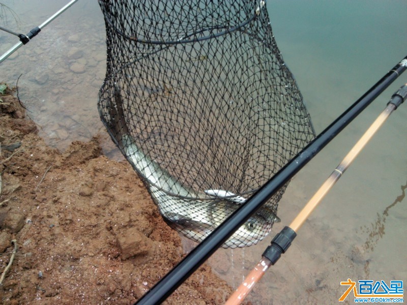 Camera_20130331_114011.jpg
