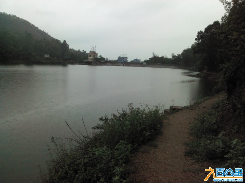 Camera_20130405_083256.jpg