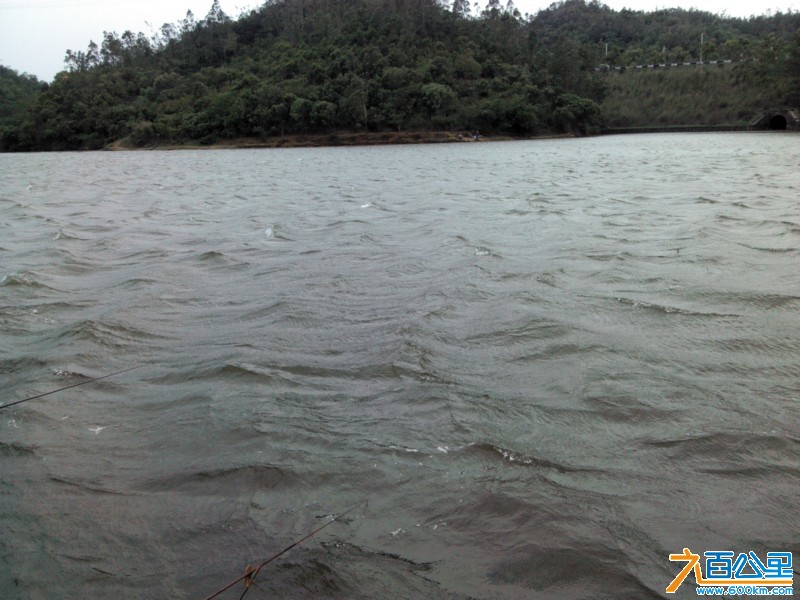 Camera_20130406_140520.jpg
