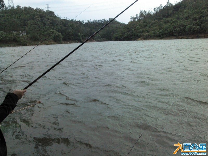 Camera_20130406_140537.jpg