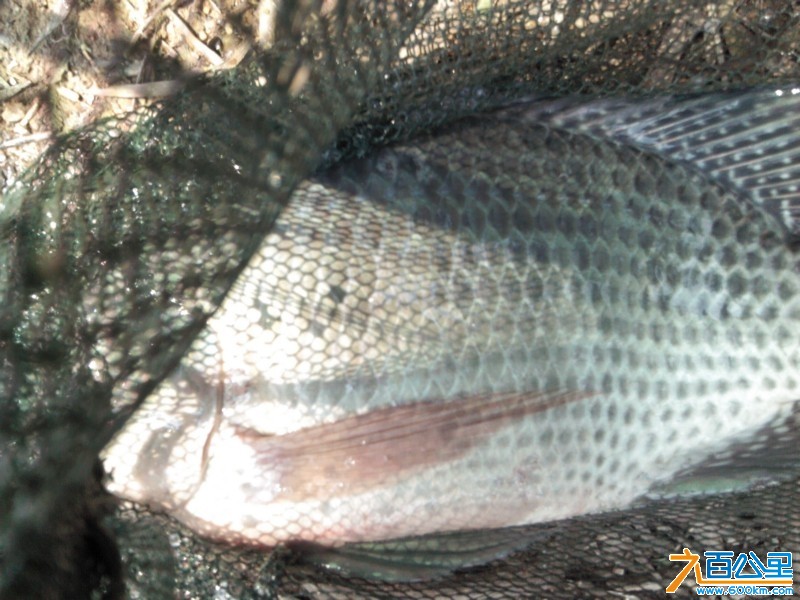 Camera_20130406_144813.jpg