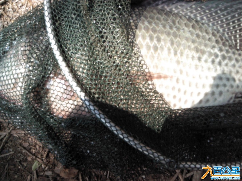 Camera_20130406_144822.jpg