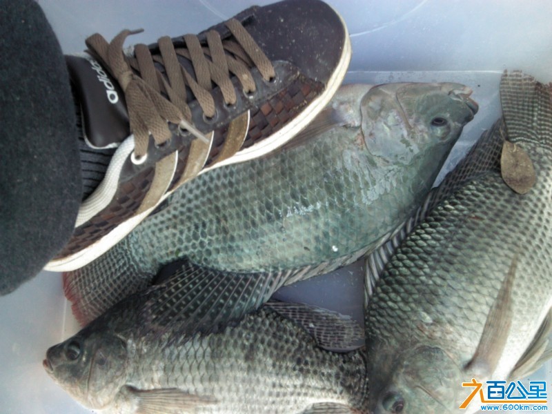 Camera_20130406_152233.jpg