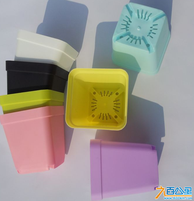 六百公里会员礼物