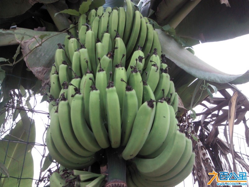 Camera_20130505_100038.jpg
