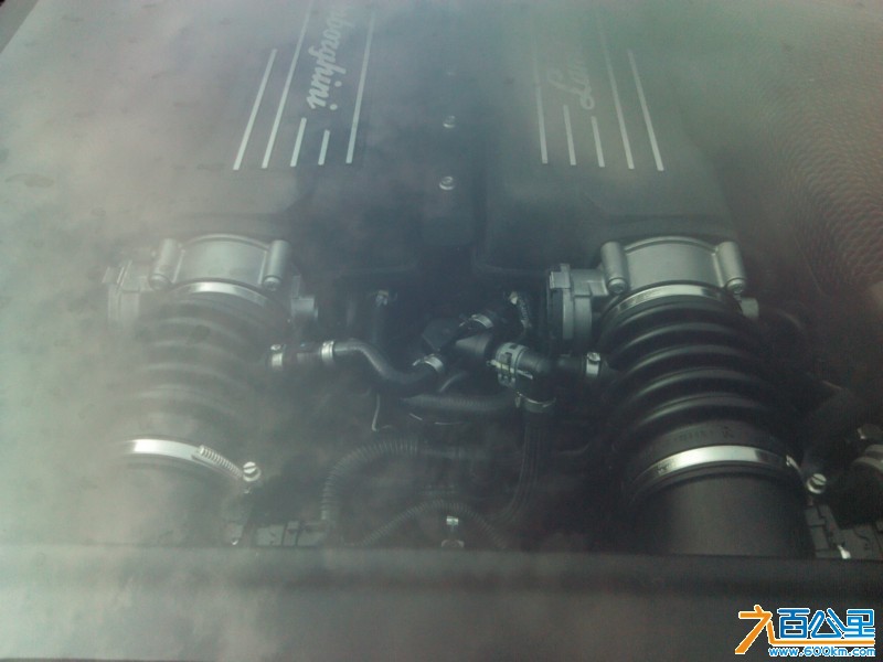Camera_20130513_090148.jpg