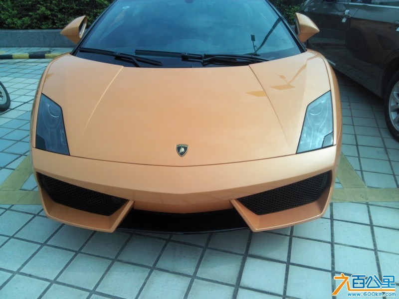 Camera_20130513_090209.jpg
