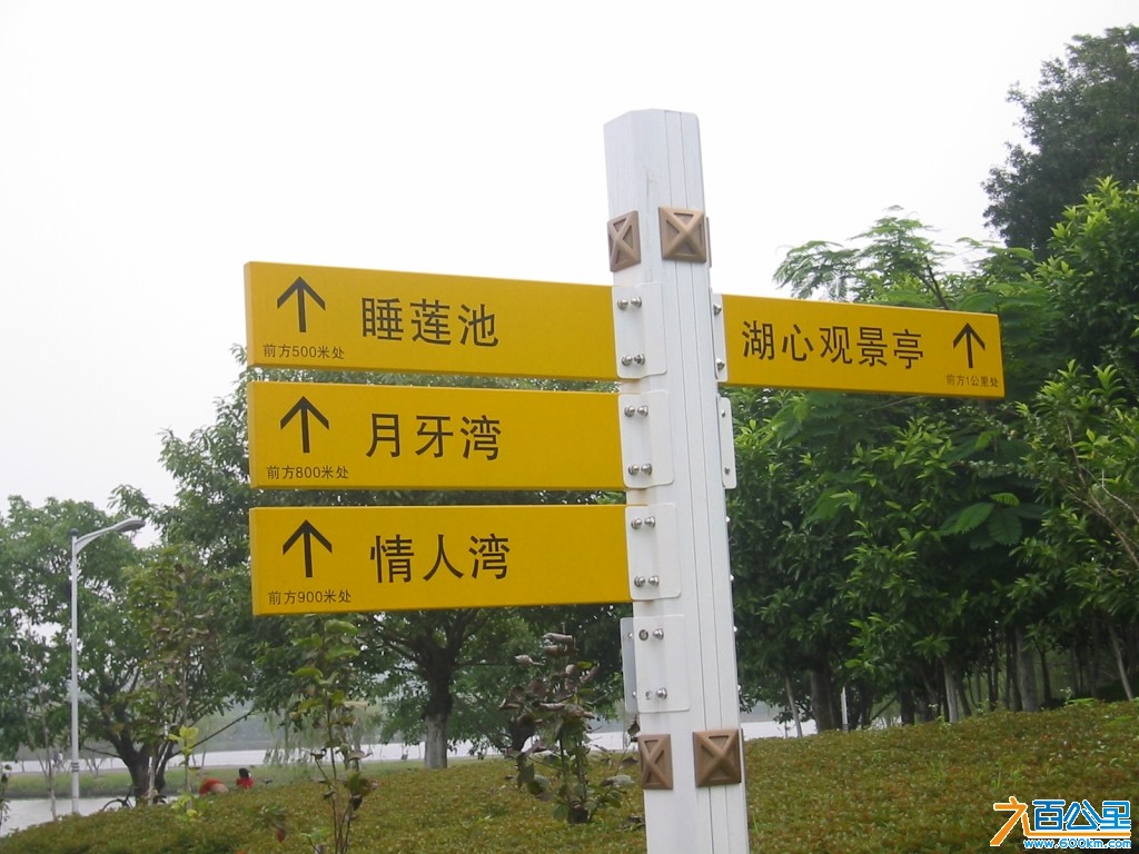 松山湖骑行