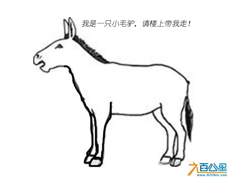 未标题-1.jpg