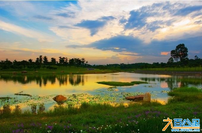 比亚迪深惠地区联谊之松山湖骑行赏花