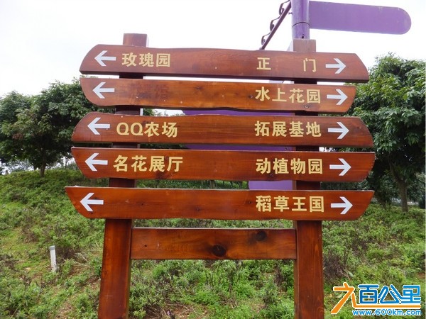 比亚迪松山湖旅游