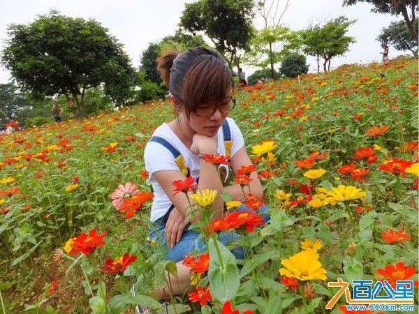 比亚迪松山湖旅游