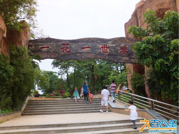 比亚迪松山湖旅游