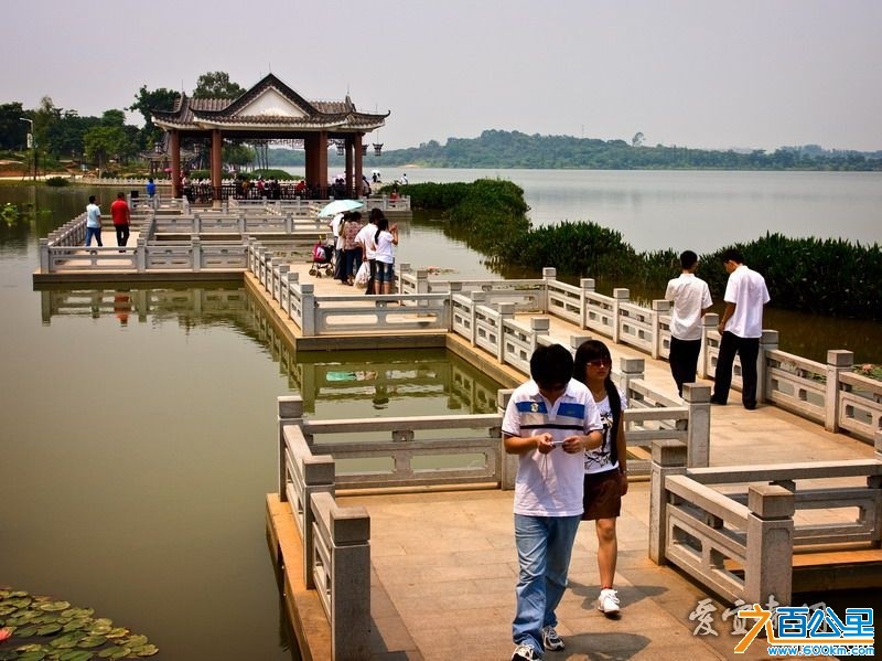 比亚迪松山湖旅游