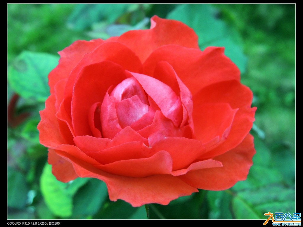 DSCN3298-2.jpg