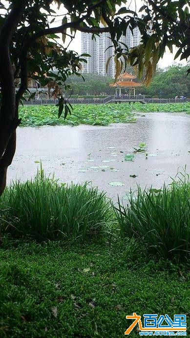 洪湖公园