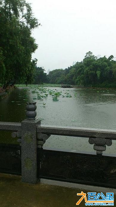 洪湖公园