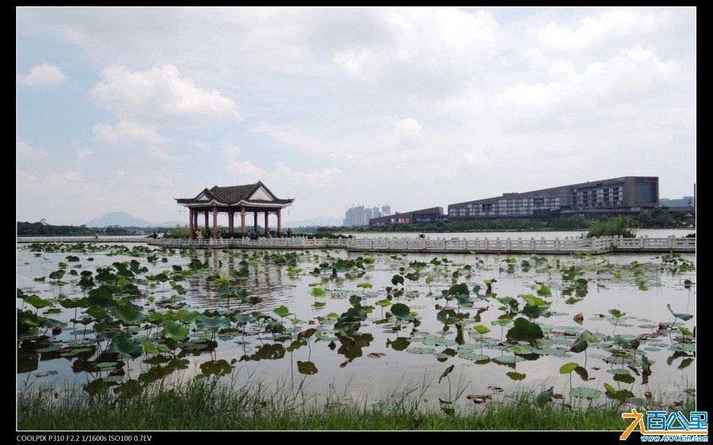 DSCN3502-2.jpg