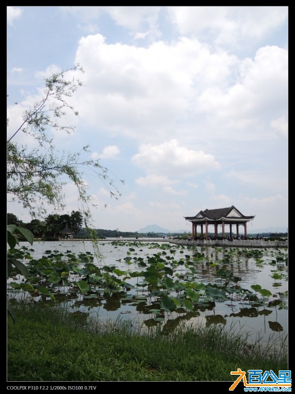 DSCN3505-1.jpg