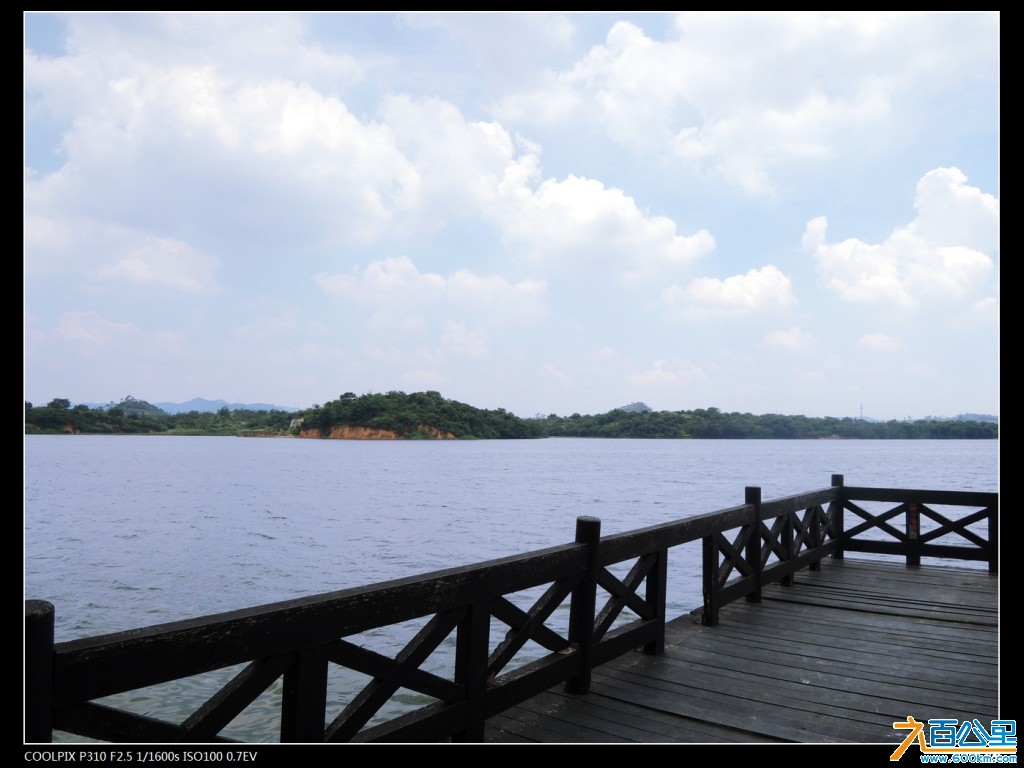 DSCN3525-1.jpg