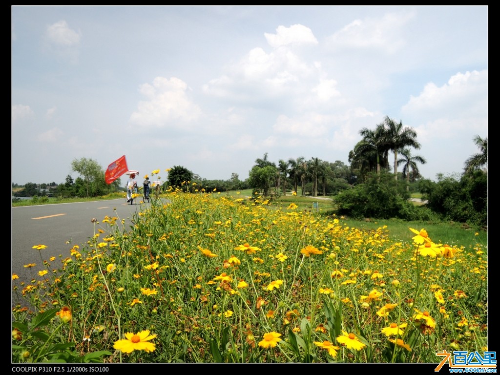 DSCN3546-2.jpg