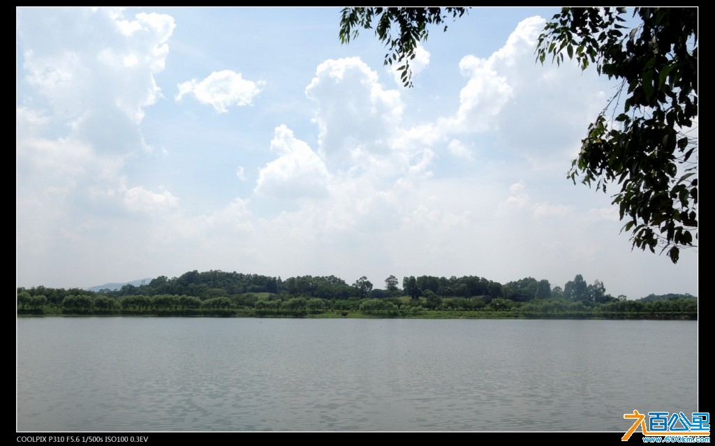 DSCN3550-1.jpg