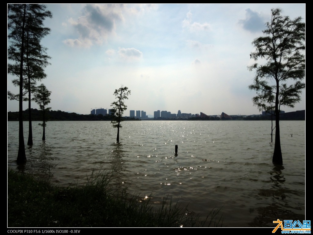 DSCN3556-1.jpg