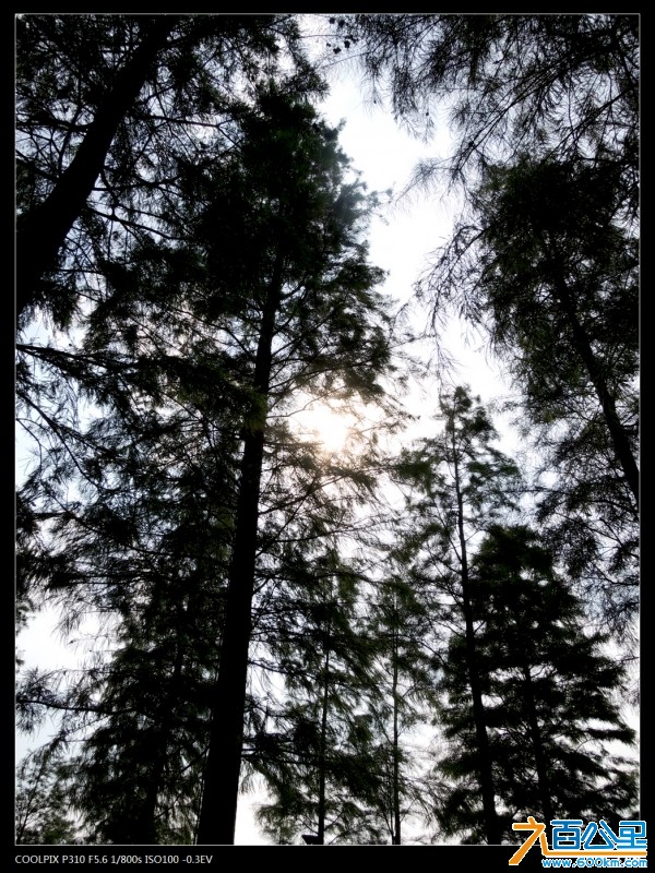 DSCN3558-2.jpg