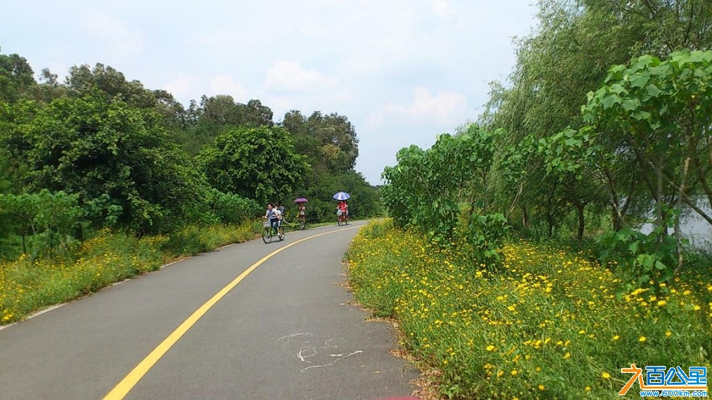 比亚迪松山湖骑行