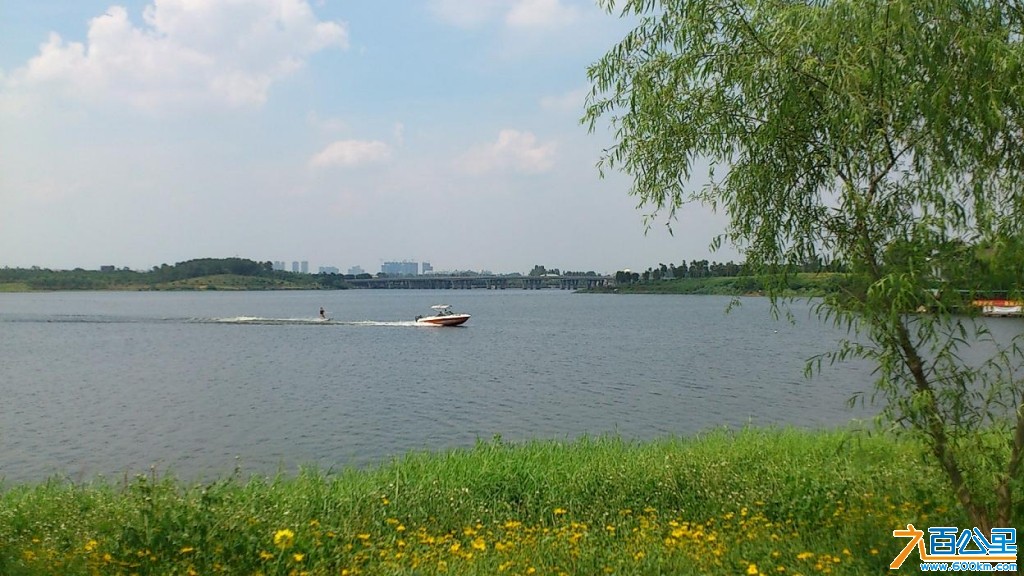 比亚迪松山湖骑行