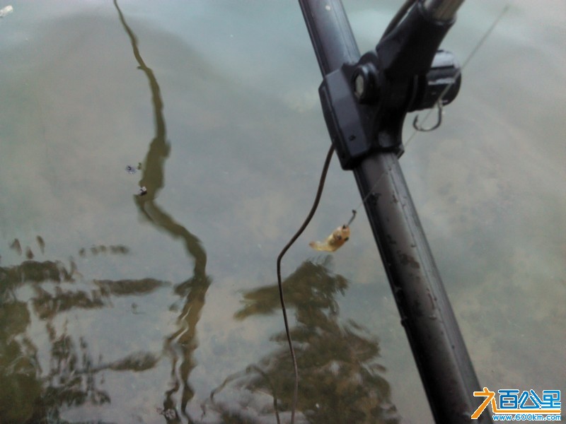 Camera_20130611_091247.jpg